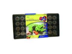 Jiffy Mini Tomato Greenhouse and 36 Pellets