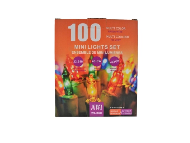 MINI LIGHT 100LT IN/OUTDOOR MULTI BULB 22.95FT LENGTH